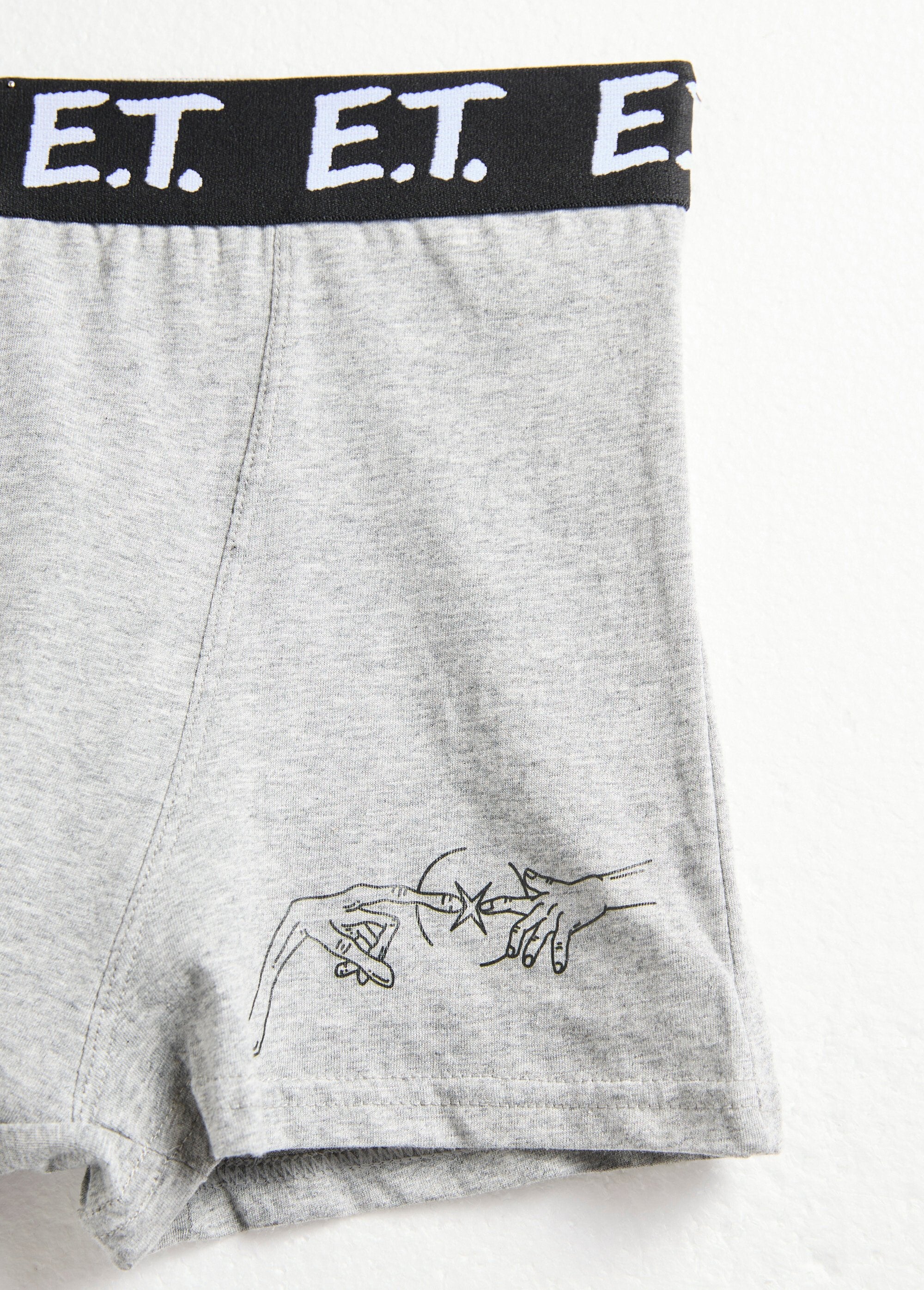 Boxeador_con_licencia_ET_Gris_oscuro_DE1_slim