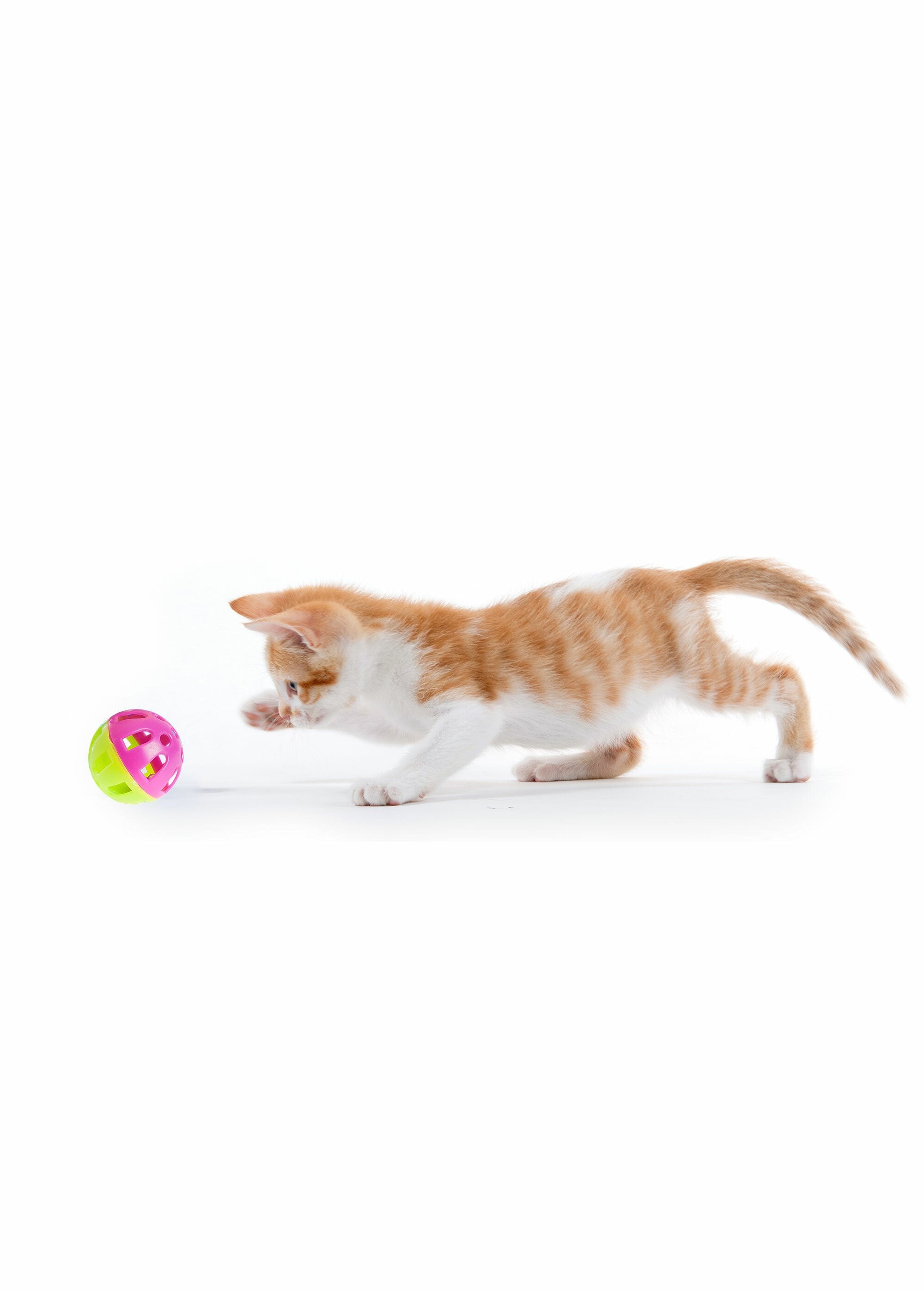 Lote_de_4_pelotas_de_juguete_para_gatos_Verde_DE1_slim