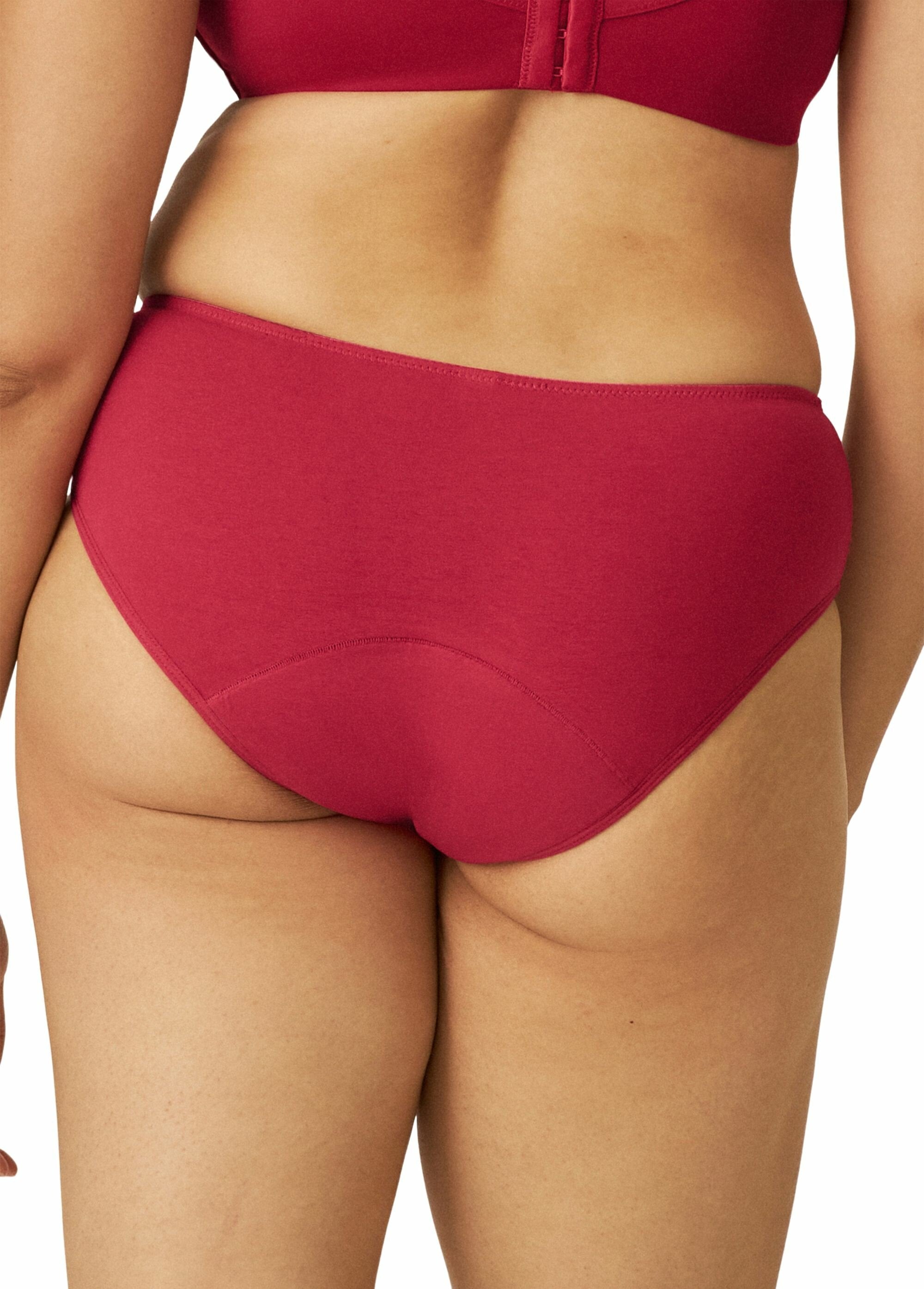 Bragas_menstruales_a_prueba_de_fugas_Frambuesa_DO1_slim