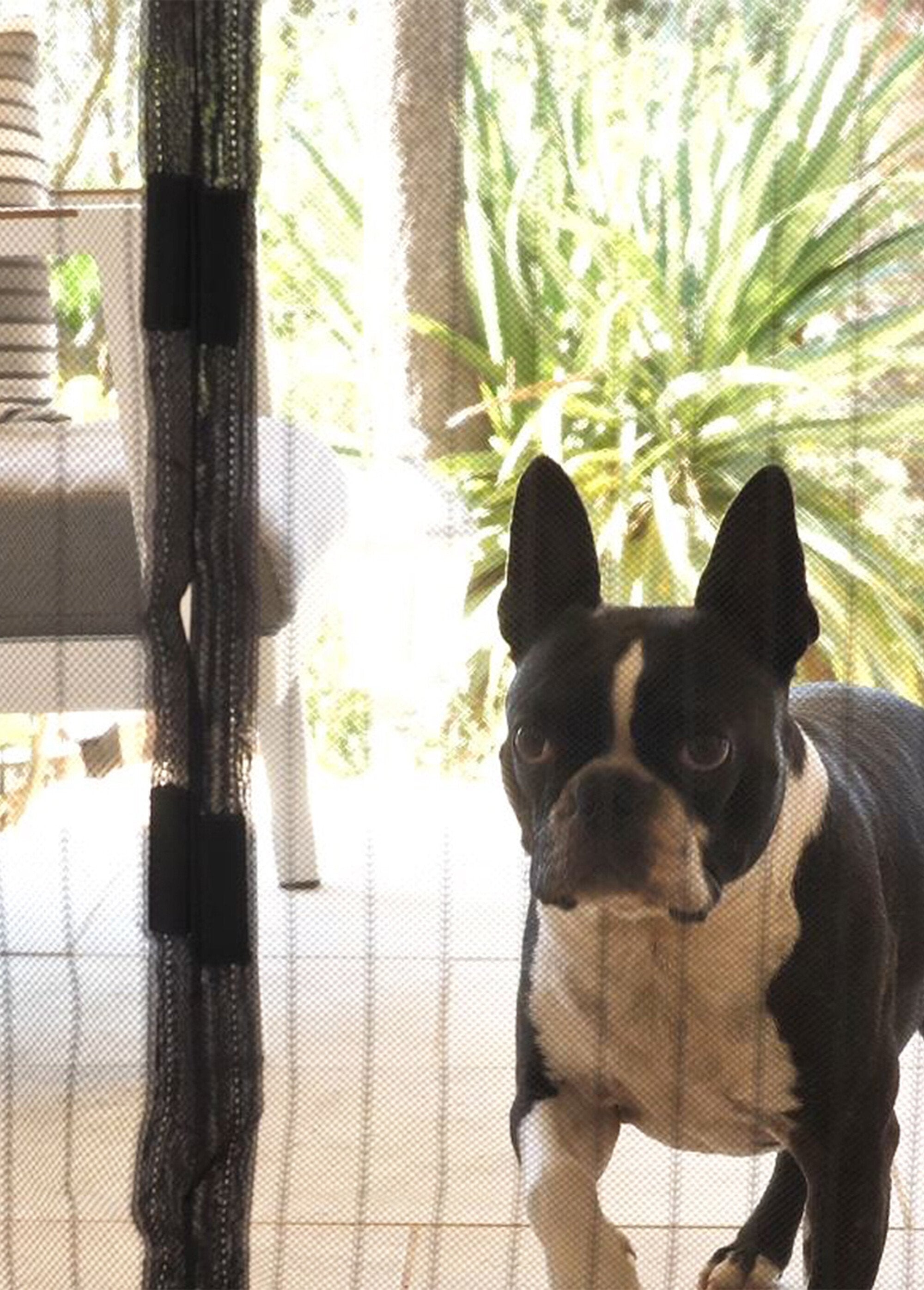 Mosquitera_magnética_de_2_paneles_Negro_FA2_slim