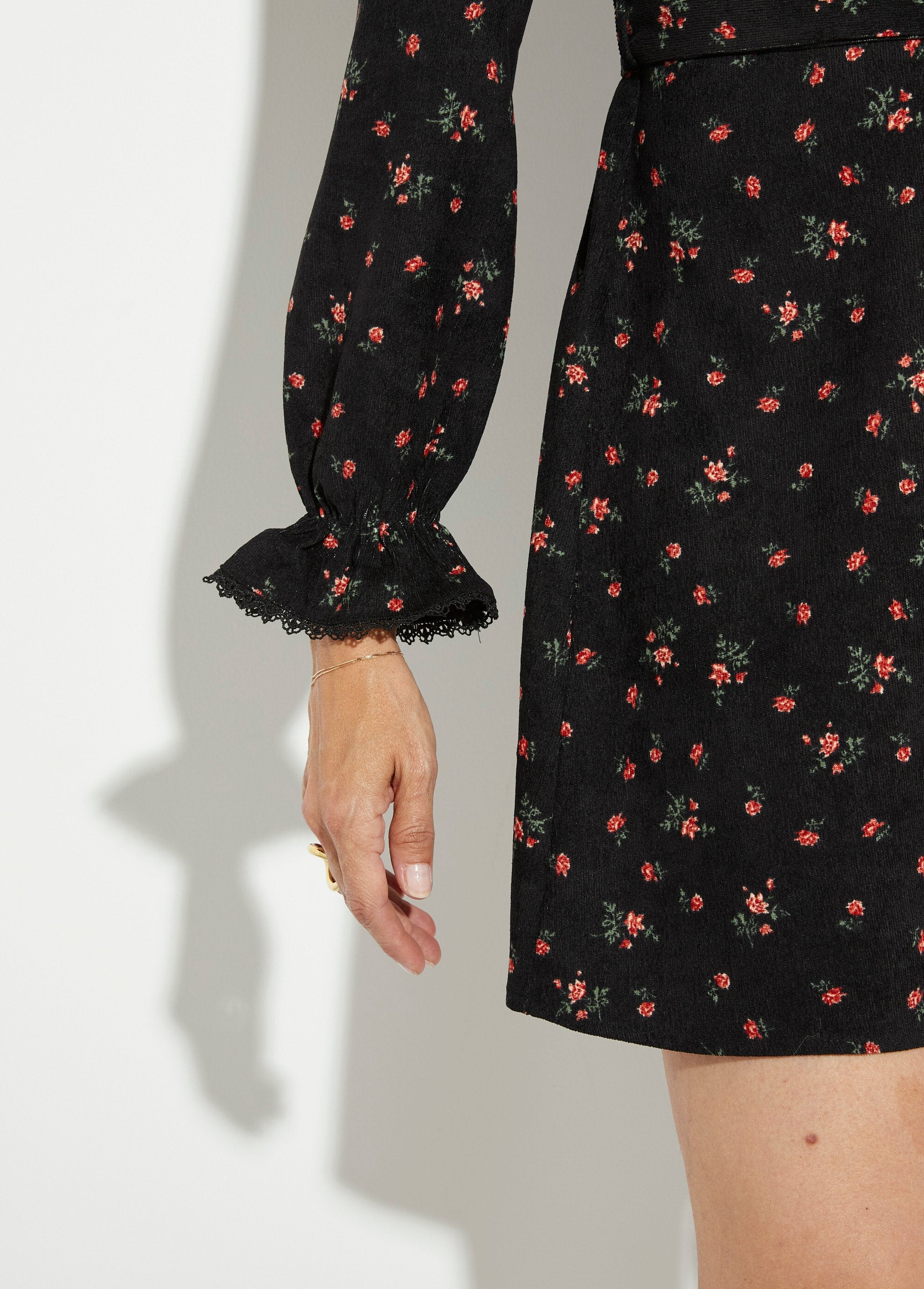 Vestido_de_terciopelo_con_estampado_de_rosas_Impresión_en_negro__DE2_slim